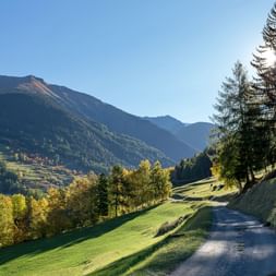 Naturstrasse zwischen grünen Wiesenlandschaften, die zu den schönen Bergen führt.