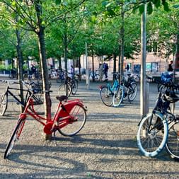 Mehrere Fahrräder auf einem baumbestandenen Platz in Kopenhagen mit Gebäuden im Hintergrund und grünen Bäumen als Schattenspender.