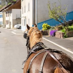 Blick von hinten auf ein braunes Pferd im Geschirr, das eine Kutsche durch eine Dorfstraße in Courtedoux, Jura, zieht, mit weißen Häusern und Gärten.