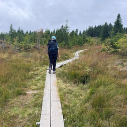 Wanderin mit blauer Mütze und Rucksack auf Holzsteg durch Moorlandschaft mit Wald im Hintergrund bei Schwarzsee.
