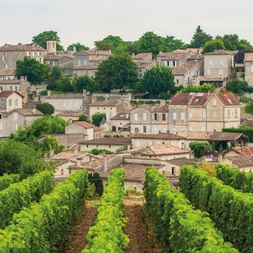 Reihen grüner Weinreben in einem Bordeaux-Weinberg, die zu einem Hügeldorf mit traditionellen Steingebäuden und roten Ziegeldächern führen.