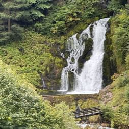 Mehrstufiger Wasserfall über moosbewachsene Felsen in einem üppigen Wald bei Schwarzsee und Jaun, mit einer Holzbrücke über den Bach.