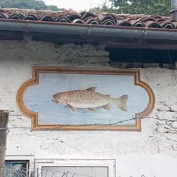 Steinhaus mit Zeichnung eines Fisches an der Aussenfassade