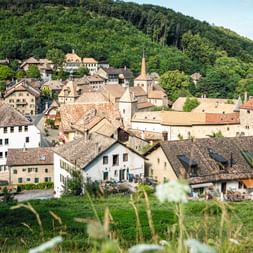 Blick auf das Dorf von Romain Motier.
