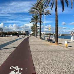 Brauner Radweg mit Fahrradsymbol entlang der Uferpromenade in Portimão. Hohe Palmen säumen den Kopfsteinpflasterweg unter blauem Himmel.