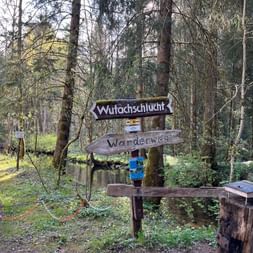 Wooden trail signs in a forest showing directions to Wutachschlucht and Wanderweg, mounted on a post with hiking trail markers.