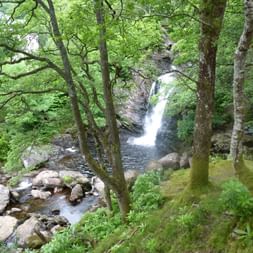 Ein Wasserfall stürzt in einem Wald in die Tiefe am West-Highland-Way in Schottland.