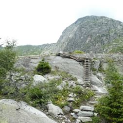Holzleiter führt über felsiges Gelände auf dem Aletsch-Panoramaweg im Wallis, mit alpiner Vegetation und Berggipfeln im Hintergrund.