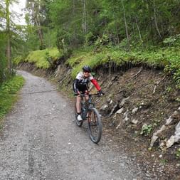Eine Mountainbikerin beim Downhill auf einer Naturstrasse zwischen den Tannenbäumen im Wald. Nationalpark-Bike. Veloferien mit Eurotrek.