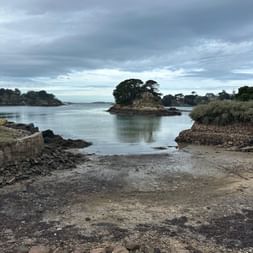 Kleine Felseninsel mit Bäumen im ruhigen Wasser bei Flut, Île-de-Bréhat. Steinmauern und Kieselstrand im Vordergrund unter bewölktem Himmel.