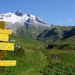Ein Wegweiser auf einer saftig grünen Almwiese mit Schneebedektem Mont-Blanc im Hintergrund. Fünf gelbe Schilder weisen die Routen in verschiedene Richtungen.