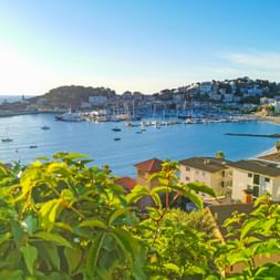 Ausblick auf Port de Soller Mallorca