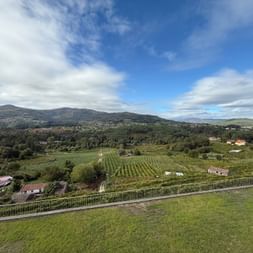 Panoramablick vom Weingut Soalheiro bei Monção mit Weinreben, grünen Hügeln, vereinzelten Häusern und Bergen unter blauem Himmel.