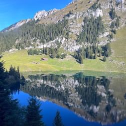 Alpenberg mit felsigen Klippen und grünen Wiesen spiegelt sich perfekt in einem ruhigen See. Nadelbäume rahmen die Szene unter blauem Himmel.