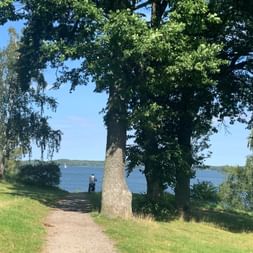 Radfahrer auf Schotterweg zwischen großen Bäumen mit Blick auf blauen See. Grüne Rasenflächen führen zum Wasser mit Segelboot.