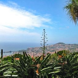 Unberührte Naturlandschaft auf der Blumeninsel Madeira