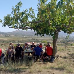Picknick mit Aussicht – Erlebnis in Katalonien Gruppe isst im Freien unter einem Baum mit Aussicht