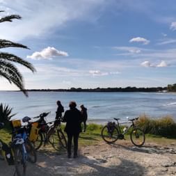 Radfahrer an Syrakus Küste mit Palme Gruppe von Radfahrern mit Rädern an der Küste von Syrakus. Palme im Vordergrund, ruhiges blaues Meer und bewölkter Himmel im Hintergrund.