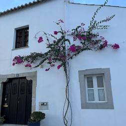 Weißes portugiesisches Haus in Tavira mit grauer Steineinfassung, dunkler Holztür und rosa Bougainvillea an der Fassade vor blauem Himmel.