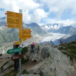 Wegweiser. Aletsch-Panoramaweg. Wanderferien mit Eurotrek.