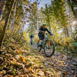 Two mountain bikers riding through a sunlit forest trail covered with autumn leaves in Central Switzerland, surrounded by tall trees.