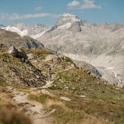 Singletrails in Bergkulisse