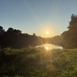 Sonnenuntergang über ruhigem Fluss bei Arcos de Valdevez mit Sonnenspiegelung im Wasser, grünem Gras im Vordergrund und Bäumen an beiden Ufern.