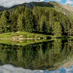 Panoramic view of Palpuognasee lake in Graubünden with perfect mountain reflections, surrounded by dense coniferous forests and Alpine peaks.