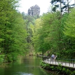 Hölzerne Fußgängerbrücke entlang eines ruhigen Flusses, umgeben von üppigem grünem Wald bei Rathen am Malerweg. Hohe Sandsteinformation im Hintergrund.