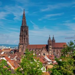 au-dessus des toits de Fribourg, la cathédrale s'élève vers le ciel