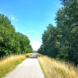 Radweg Donauauen