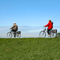 Radfahrer in Zeeland