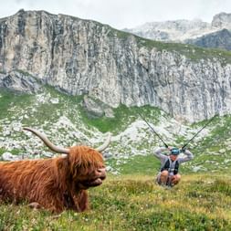 Trail runner taking a break, in the foreground a highland cattle, in front of a rock face in Graubünden.