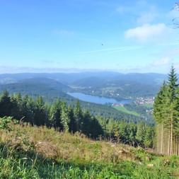 Schöner Seeblick im Schwarzwald