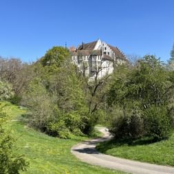 Schloss Blumenfeld, a white castle with stepped gables, sits atop a green hill surrounded by trees. A winding path leads through spring meadows.