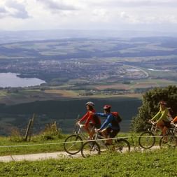 four cyclists above the valley on a cycle path