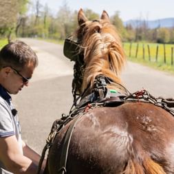 Mann mit Sonnenbrille steht neben einem braunen Pferd, das an einen Wagen gespannt ist, auf einer Landstraße in Courtedoux, Jura, mit grünen Feldern.