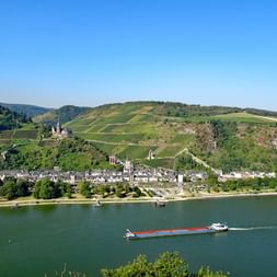 Panoramablick auf den Rhein