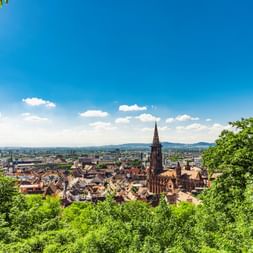 Cathédrale de Fribourg et panorama urbain Vue panoramique de Fribourg avec la cathédrale gothique et sa haute flèche dominant le centre historique, encadrée par des arbres verts.