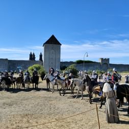 Eine Reihe mit Pferden steht vor einer Burg mit als Ritter verkleideten Reitern.