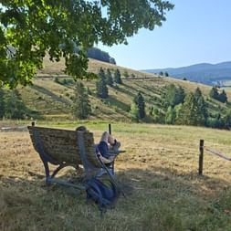 Hiker relaxing on wooden bench under tree near Bernau, overlooking rolling hills and forests of the Hochschwarzwald region.
