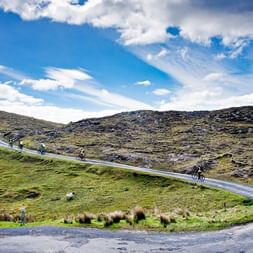 Radfahrer auf einer gewundenen asphaltierten Straße durch grüne irische Landschaft mit sanften Hügeln, verstreuten Schafen und dramatischem Himmel.