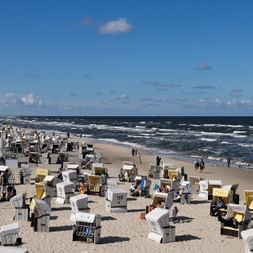 Ein Strand voller Strandkörbe direkt am Meer in Usedom an der Ostsee.