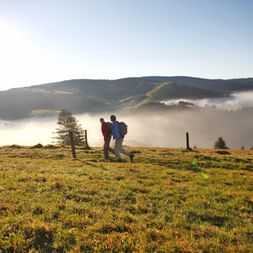 Wanderpaar im nebligen Schwarzwald