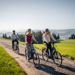E-Bike Gruppe in Berner Oberland