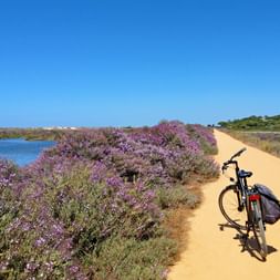 Radweg an der Algarve
