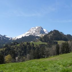 Vue sur les montagnes pendant le sentier panorama alpin. Vacances de randonnée avec Eurotrek.