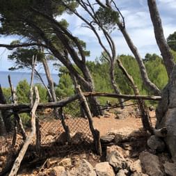verbarrikadierter Weg entlang der Küste auf Mallorca.