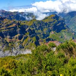 Wundervolle Eindrücke am Hochplateau von Madeira