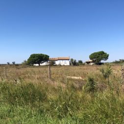 Die Camargue-Landschaft